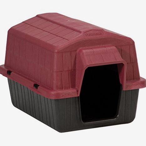5 Best Outdoor Doghouses and Kennels 2020 | The Strategist