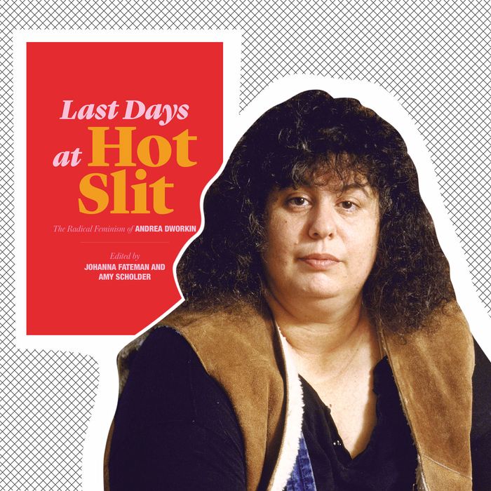 Sex Lies And Andrea Dworkin