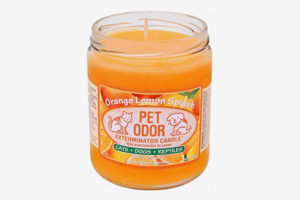 SPECIALTY PET PRODUCTS Pet Odor Exterminator Candle, Orange Lemon Splash