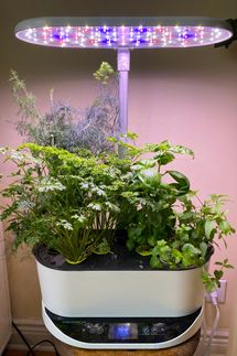 AeroGarden Bounty Indoor Hydroponic Herb Garden