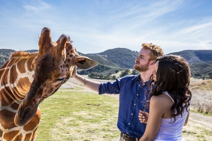 Parisa Fitz-Henley and Murray Fraser in Harry and Meghan: A Royal Romance.