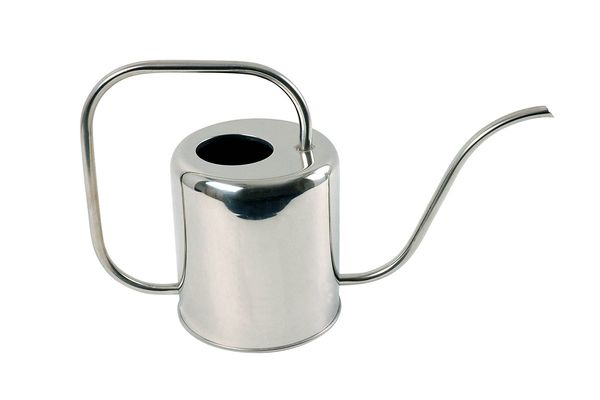 Esschert Design Stainless Watering Can