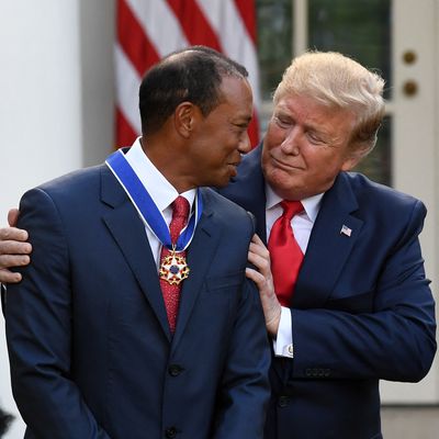 TOPSHOT-US-POLITICS-GOLF-TRUMP-WOODS