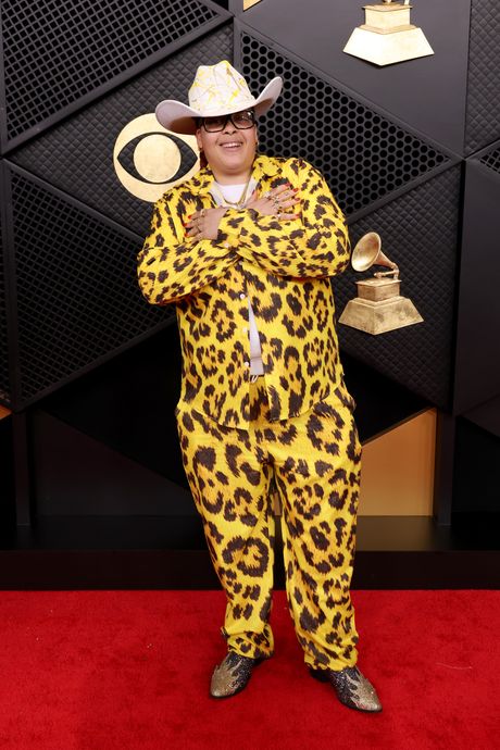 68th GRAMMY Awards - Arrivals