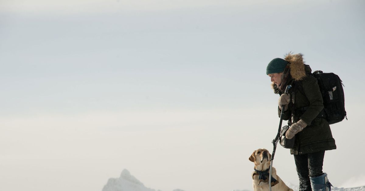 The Mountain Between Us: Should They Have Eaten the Dog?