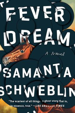 Fever Dream: A Novel