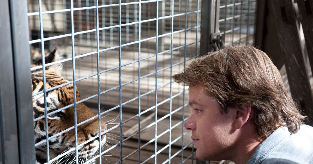 だった動物園を買いましたその過大な予告編によって倒されましたか？