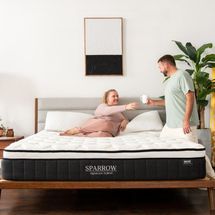 Nest Bedding Sparrow Signature Hybrid Mattress - Queen