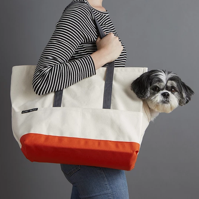 8 Trendiest Dog Bags 2019