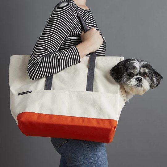 8 Trendiest Dog Bags 2019 | The 