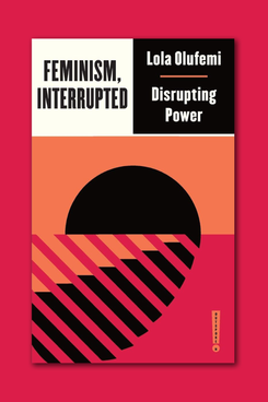 Feminism, Interrupted: Disrupting Power by Lola Olufemi