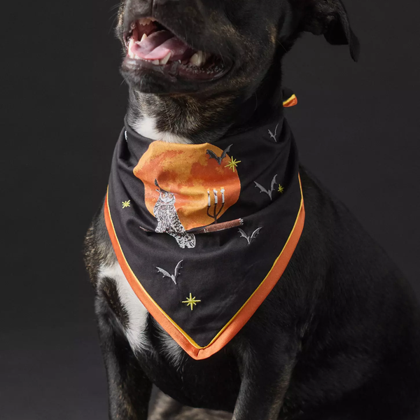 Anthropologie Halloween Pet Bandana