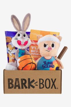 BarkBox Monthly Subscription Box