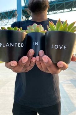 Plant Economy Planted in Love Planter Set