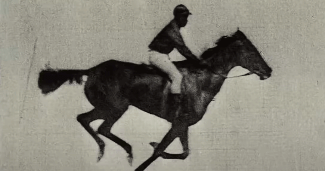 Nope' and the Story Behind Muybridge's Moving Pictures