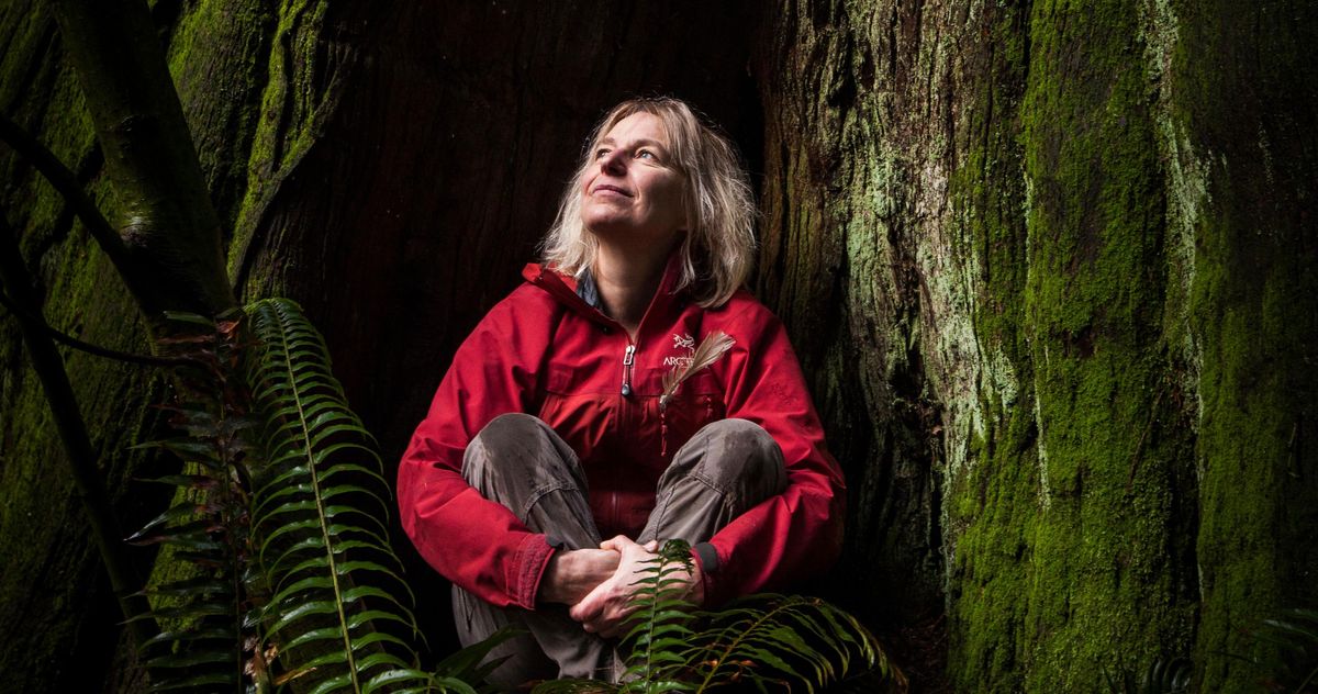 Suzanne Simard Changed How the World Sees Trees - Vimarsana News