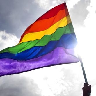A reveller waves a rainbow flag during the Gay Pride Parade