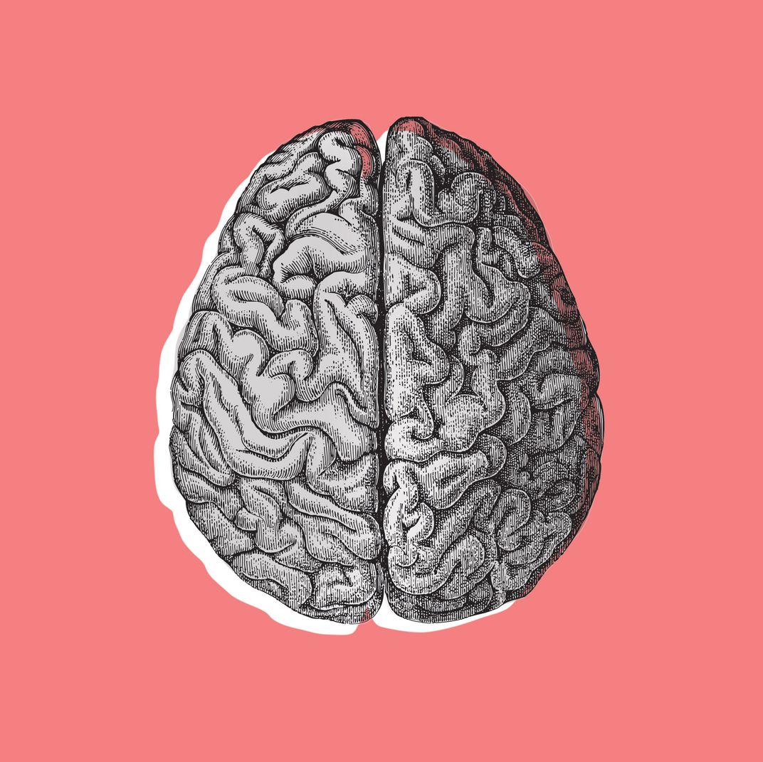 Картинка полушарие мозга. Мозг человека для детей. Половинка мозга. Два полушария мозга.
