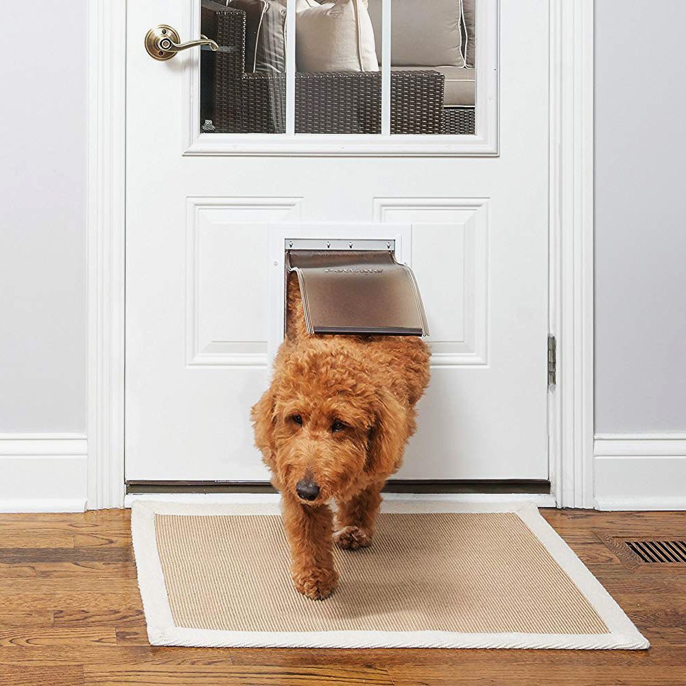 door panel with dog flap