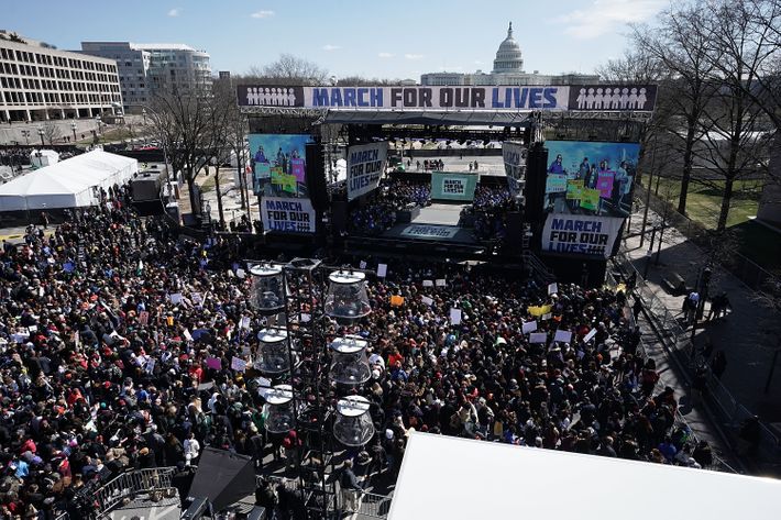 Scenes From the March for Our Lives Rallies Across America