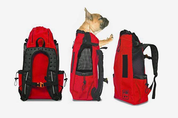 27 of the Best and Coolest Dog Accessories The