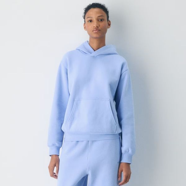 Aritzia Cozy Sweatfleece Perfect Hoodie