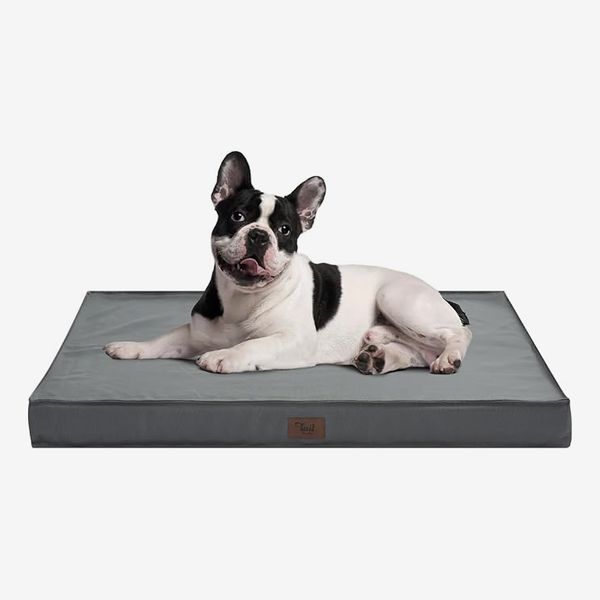 Tail Stories Outdoor All Weather Dog Bed