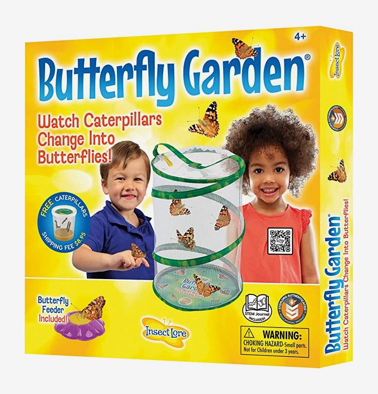 Top 10 STEM Toys For 2 Year Olds