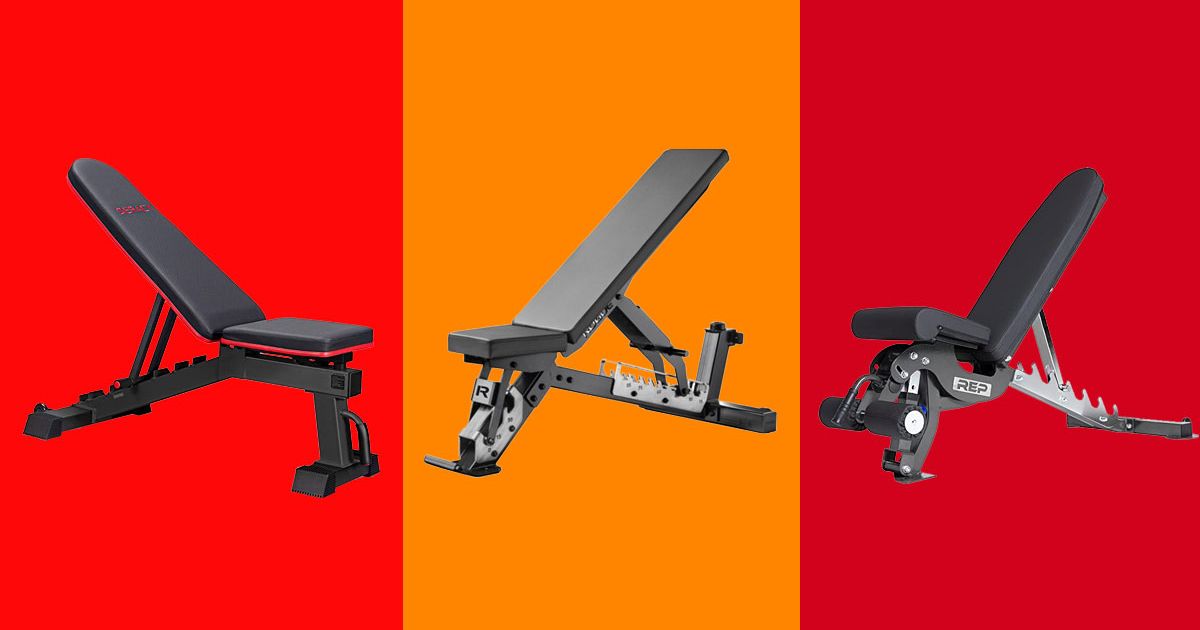 6 Best Weight Benches The Strategist