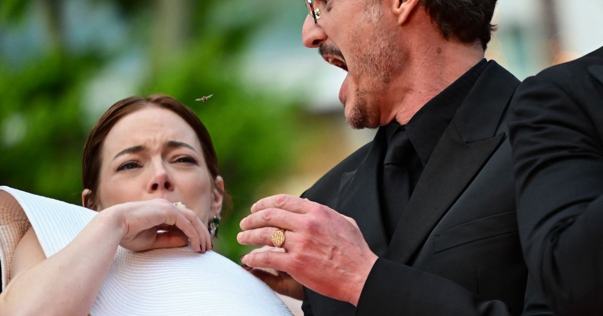 Bee Antagonizes Emma Stone on Red Carpet
