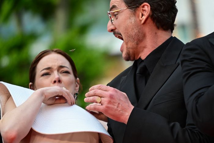 Bee Attacks Emma Stone at Cannes Carpet for Lily Gladstone