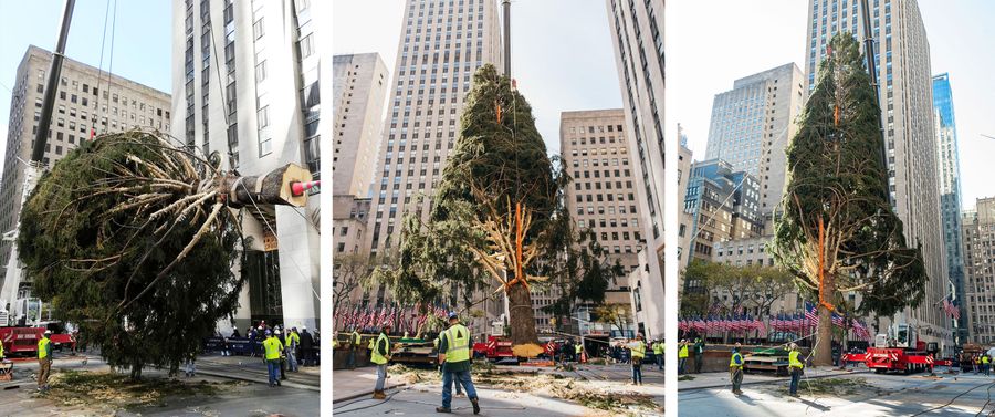 The Rockefeller Center Christmas Tree Is Just Fine