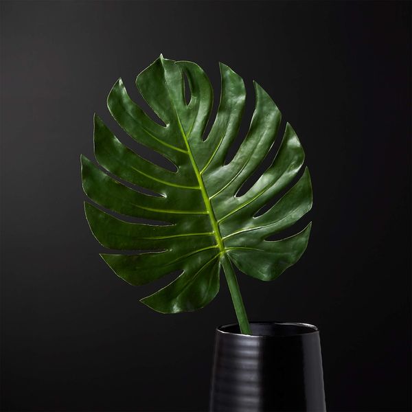 Best artificial plant cleaner — Buyer's Guide, by Artificial Decor, Dec,  2023