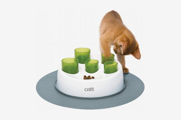 best cat food puzzles