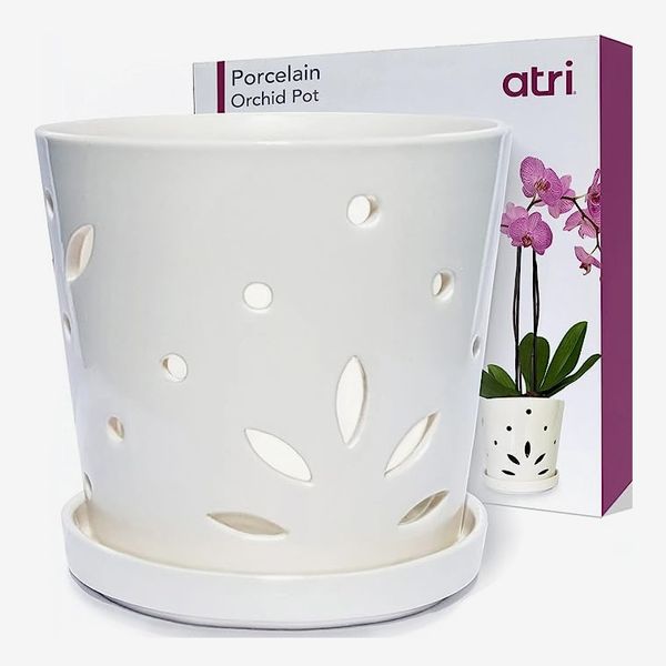 Atri Ceramic Orchid Pot with Holes