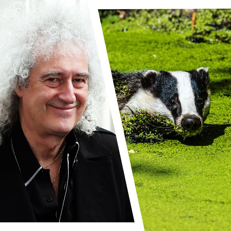 brian may save me perfume