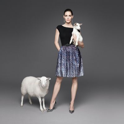 An image from Dressbarn's campaign.