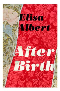 After Birth by Elisa Albert