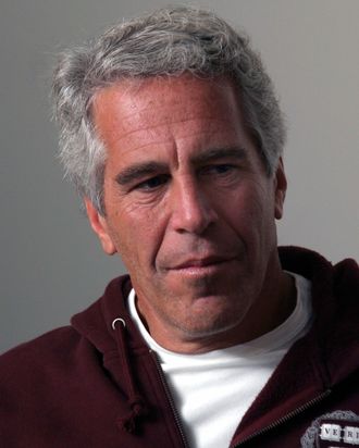 The late financier and convicted sexual abuser Jeffrey Epstein.