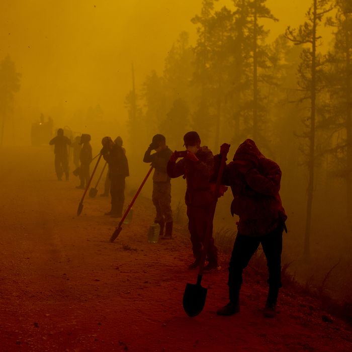 Smoke From Siberian Wildfires Reaches North Pole