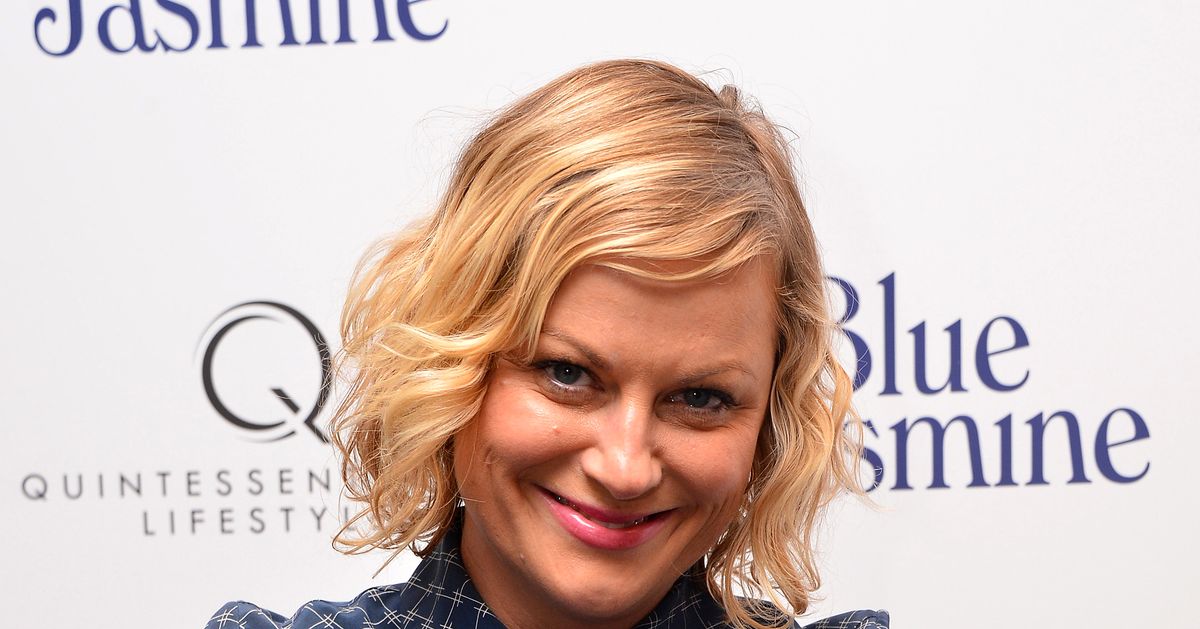 amy poehler to star in inside out and other super exciting