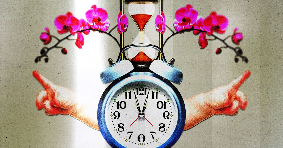 Book Excerpt ‘The Hands on My Biological Clock’