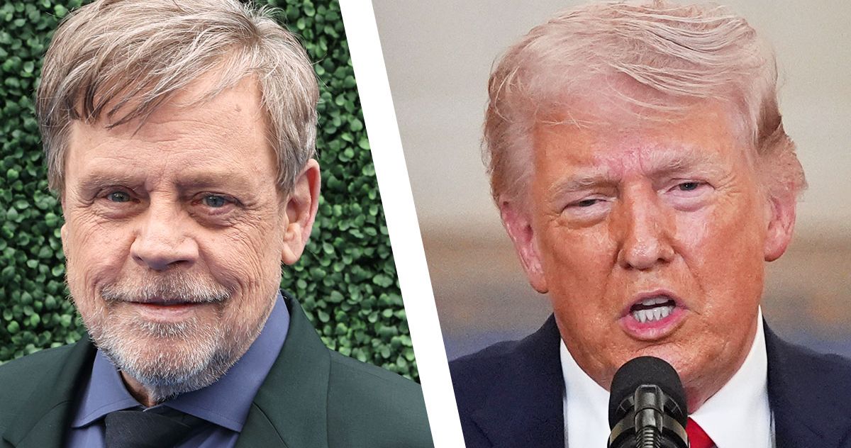 White House Calls Mark Hamill a 'Lunatic' for Sharing AI Image of Trump's Grave
