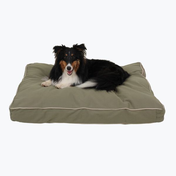 AllModern Orthopedic Canvas Dog Bed