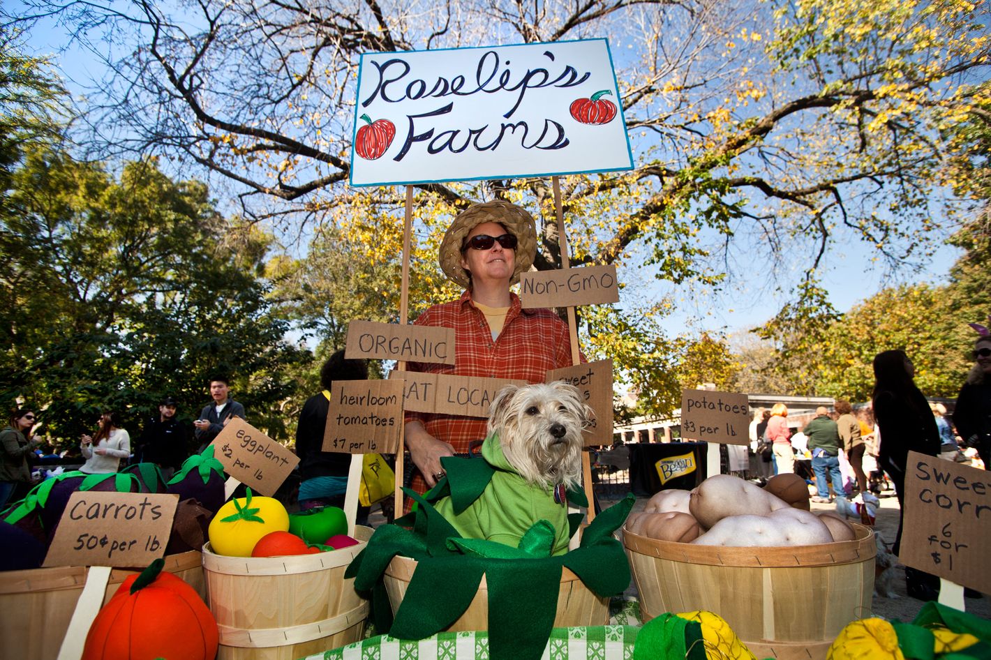 Halloween Pet Parade & Anniversary Party — The Dining Dog and Friends