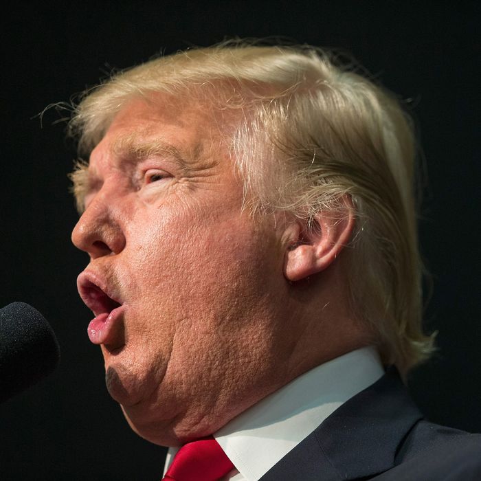 Indigenous peoples advocate Donald Trump.