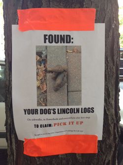 Dog Poop Gets a Rebrand