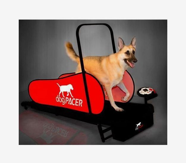 Exercise Dog Pacer Treadmill DogPACER LF Treadmill Dog Exercise