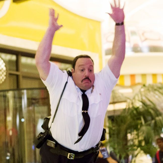 paul blart mall cop movie reviews