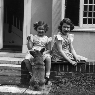 See Queen Elizabeth With Corgis, a Panda, Elephants, and Other Animals